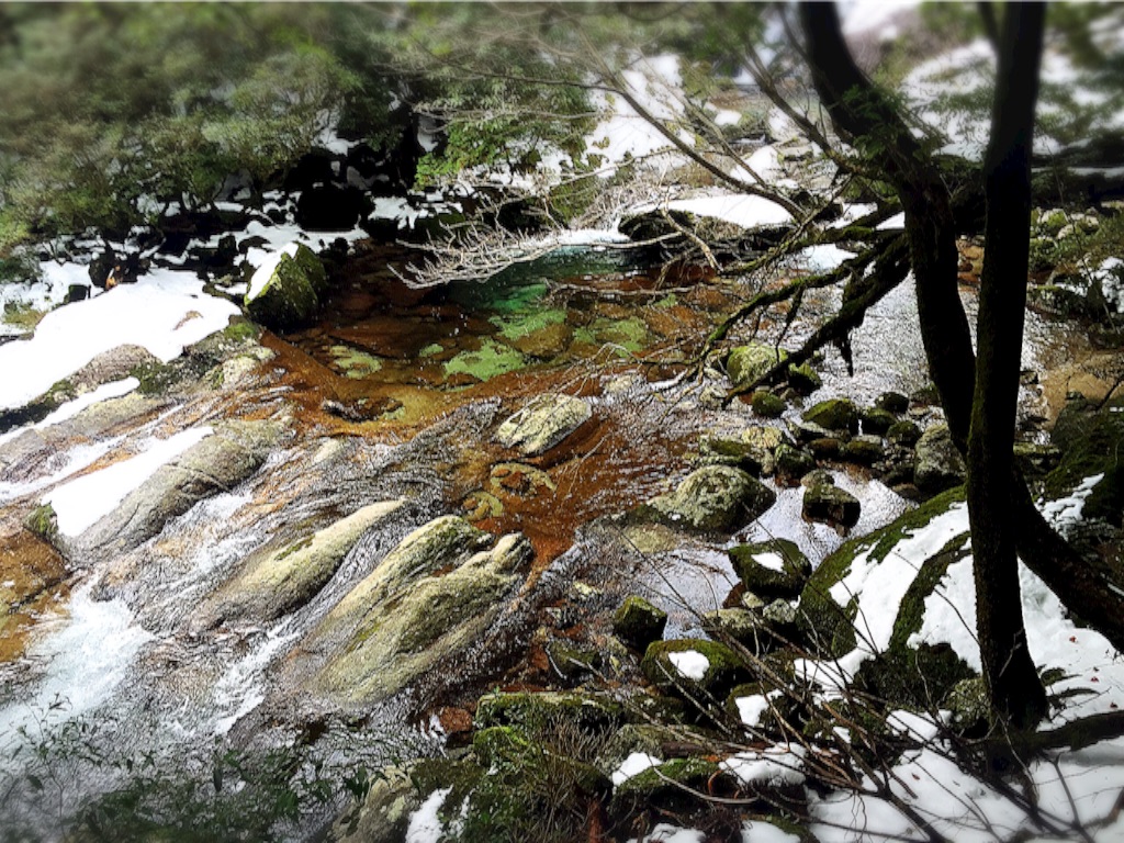 f:id:naotonozinsei:20160128232211j:image f:id:naotonozinsei:20160128232211j:image