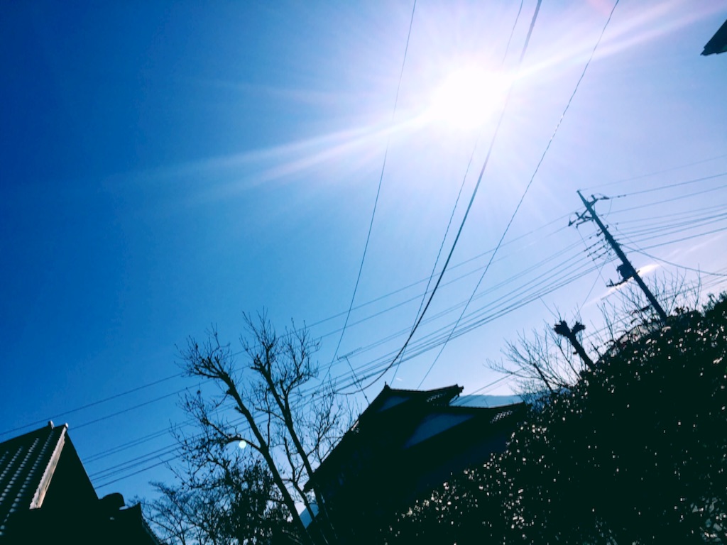 f:id:naotonozinsei:20160217225559j:image f:id:naotonozinsei:20160217225559j:image