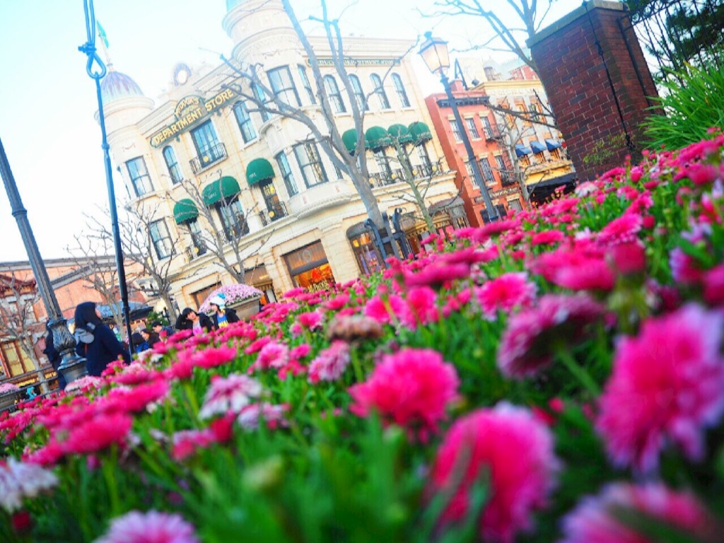 f:id:naotonozinsei:20160328221412j:image f:id:naotonozinsei:20160328221412j:image