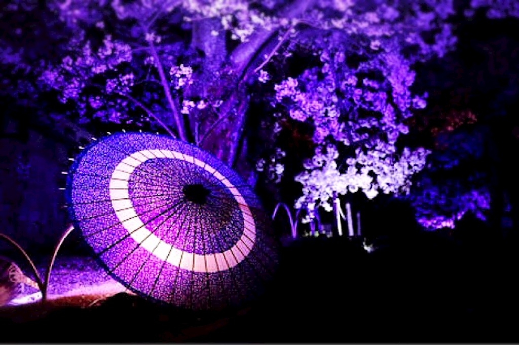 f:id:naotonozinsei:20160405232638j:image f:id:naotonozinsei:20160405232638j:image