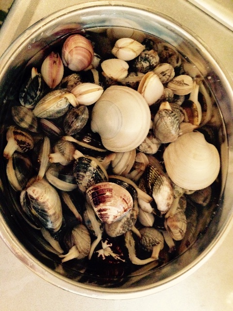 f:id:napeco:20150524112236j:image f:id:napeco:20150524112236j:image