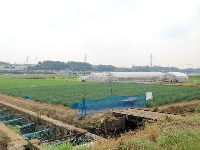 f:id:napeco:20150616224604j:image f:id:napeco:20150616224604j:image