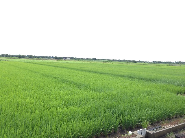 f:id:napeco:20150716213559j:image f:id:napeco:20150716213559j:image