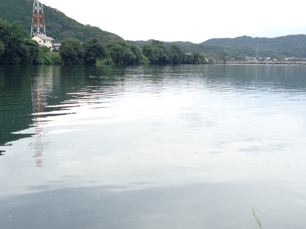 f:id:napeco:20150718175008j:image f:id:napeco:20150718175008j:image