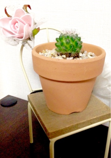 f:id:napeco:20151111204726j:image f:id:napeco:20151111204726j:image