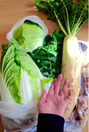 f:id:napeco:20151124110018j:image f:id:napeco:20151124110018j:image