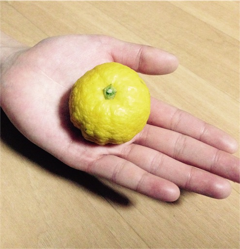 f:id:napeco:20151217194001j:image f:id:napeco:20151217194001j:image