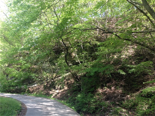 f:id:napeco:20160502030636j:image f:id:napeco:20160502030636j:image