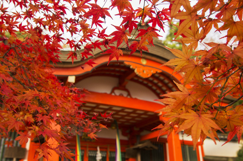 f:id:naramachi:20151204180122j:plain f:id:naramachi:20151204180122j:plain