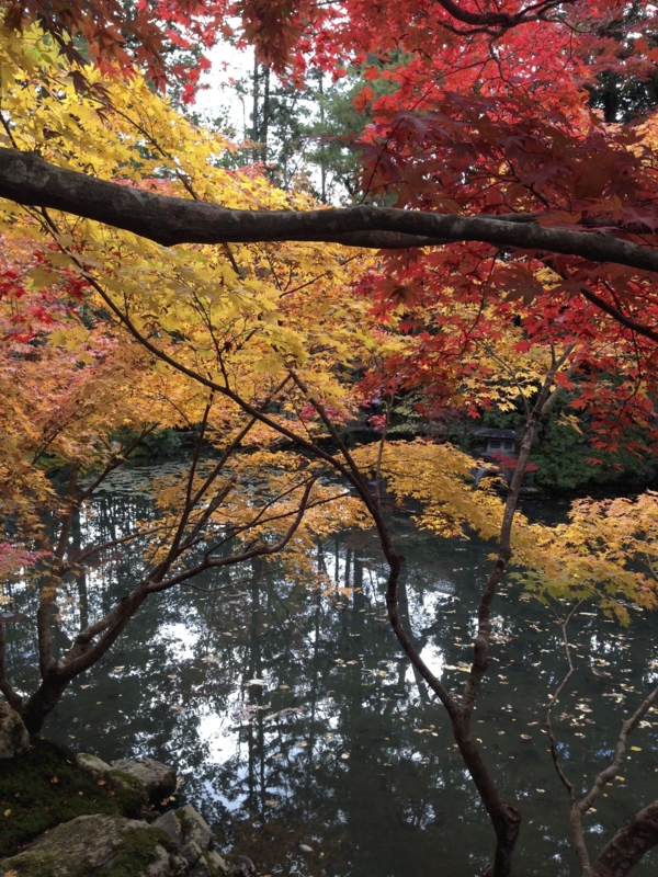 f:id:naruaki:20131121132356j:plain f:id:naruaki:20131121132356j:plain