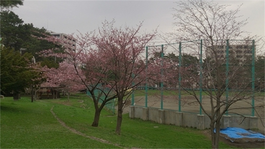 f:id:narublog:20160428114913j:image f:id:narublog:20160428114913j:image