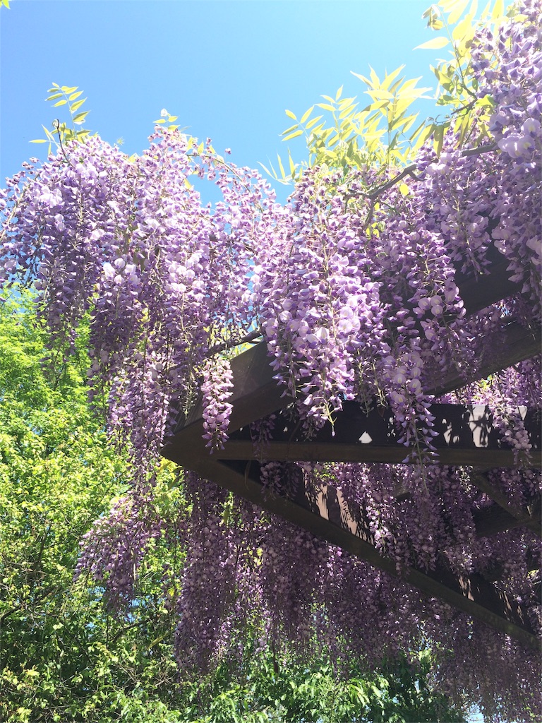 f:id:narublog:20160602113134j:image f:id:narublog:20160602113134j:image