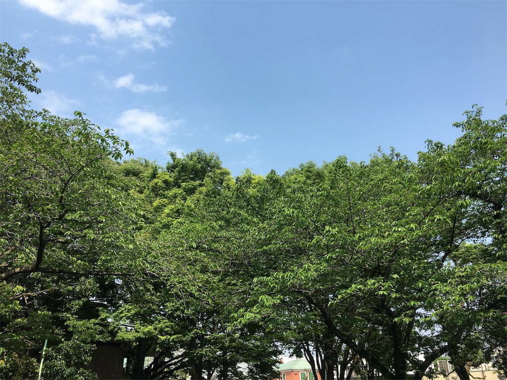 f:id:naruhiko-tot:20160501195544j:image f:id:naruhiko-tot:20160501195544j:image