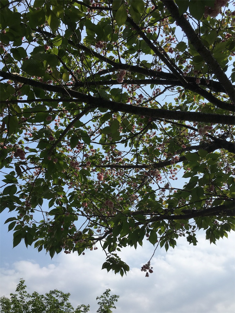 f:id:naruhiko-tot:20160501195902j:image f:id:naruhiko-tot:20160501195902j:image