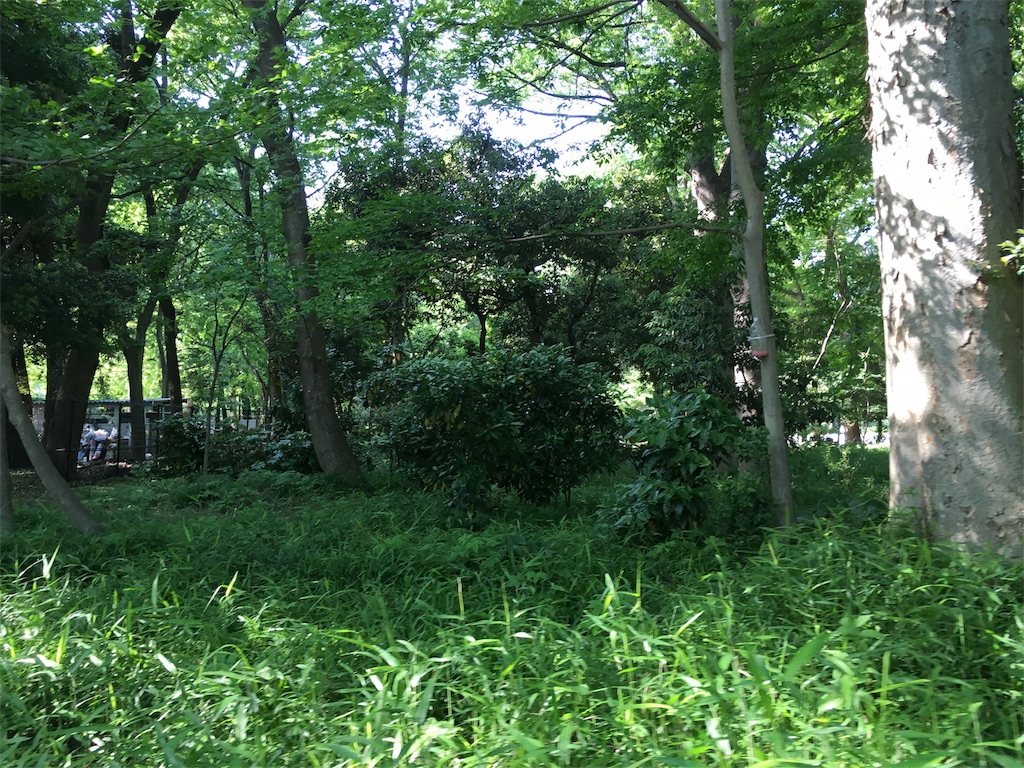 f:id:naruhiko-tot:20160515194811j:image f:id:naruhiko-tot:20160515194811j:image