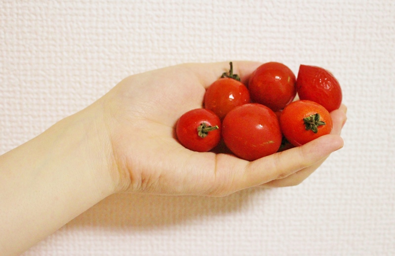 f:id:naruse_e:20150728230653j:plain