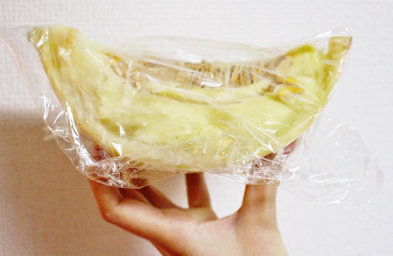 f:id:naruse_e:20150728230822j:plain