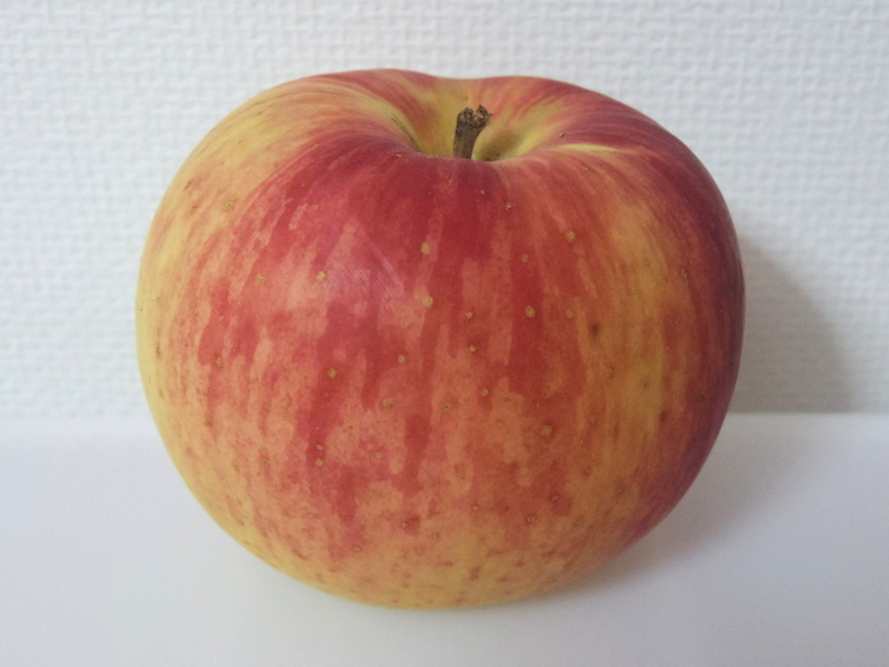 f:id:naruse_e:20150924213559j:plain