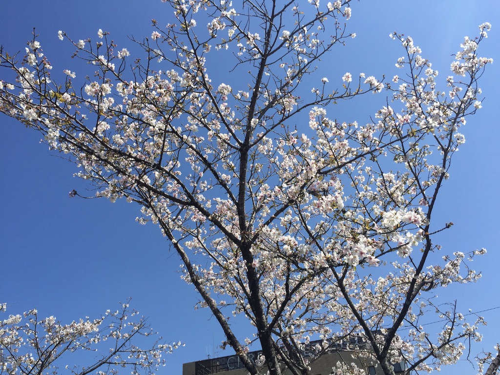 f:id:naruyat22:20160327194046j:image f:id:naruyat22:20160327194046j:image