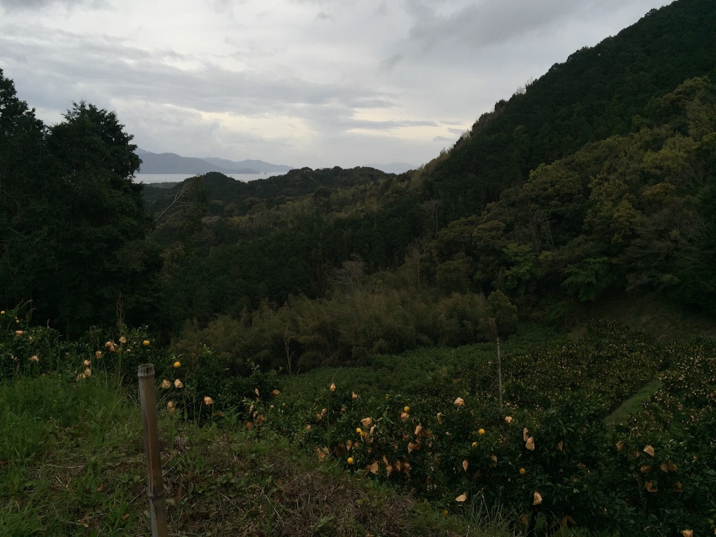 f:id:naruyat22:20160404174555j:image f:id:naruyat22:20160404174555j:image