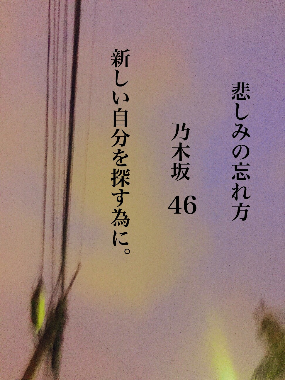 f:id:nash96:20150812180922j:image f:id:nash96:20150812180922j:image