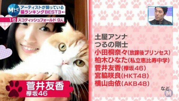 f:id:nash96:20160507203509j:image f:id:nash96:20160507203509j:image