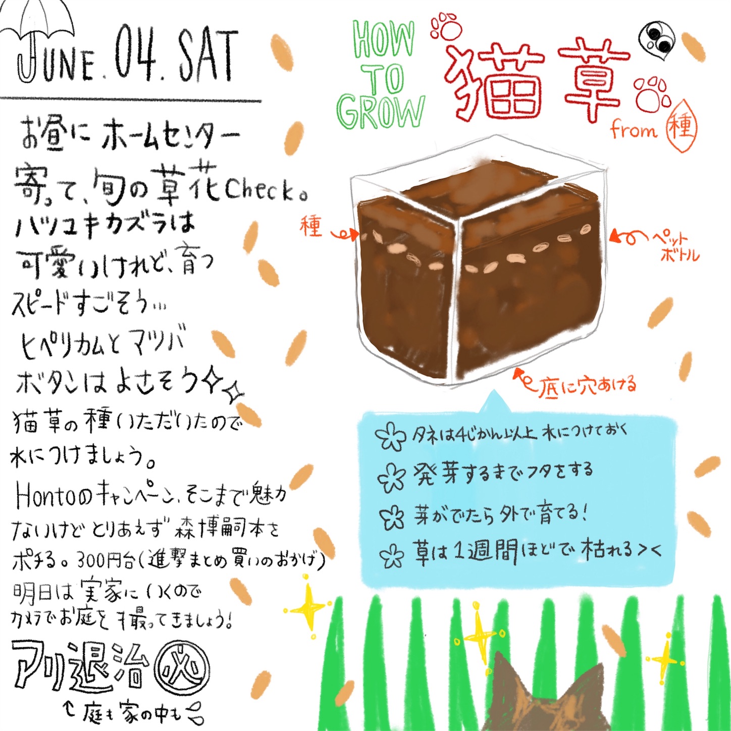 f:id:nashi17:20160605042338j:image f:id:nashi17:20160605042338j:image