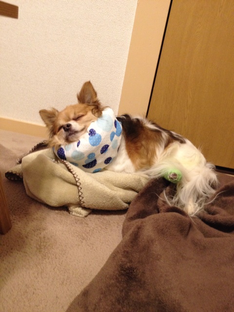 f:id:nashuaki:20140723095612j:plain f:id:nashuaki:20140723095612j:plain