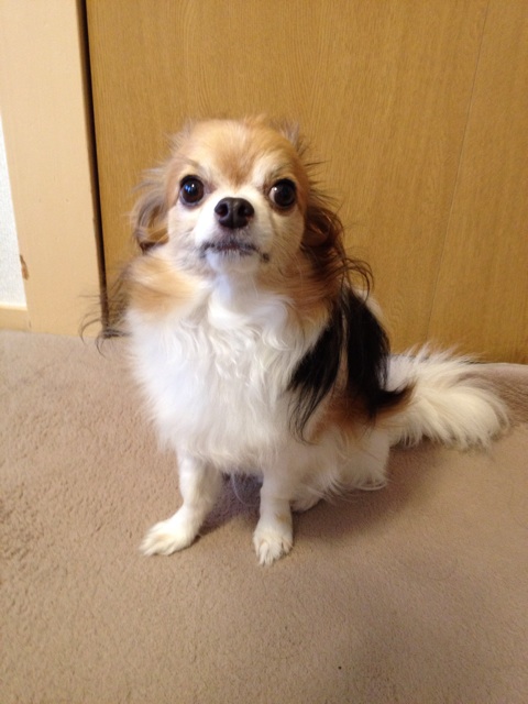 f:id:nashuaki:20140728091726j:plain f:id:nashuaki:20140728091726j:plain
