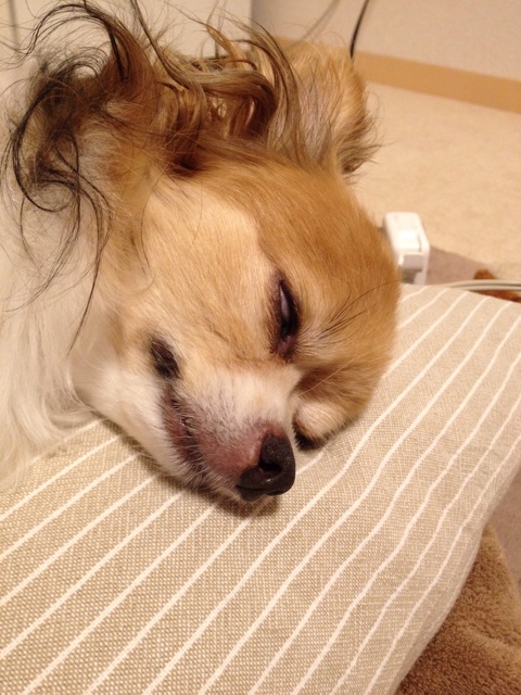 f:id:nashuaki:20140810091419j:plain f:id:nashuaki:20140810091419j:plain