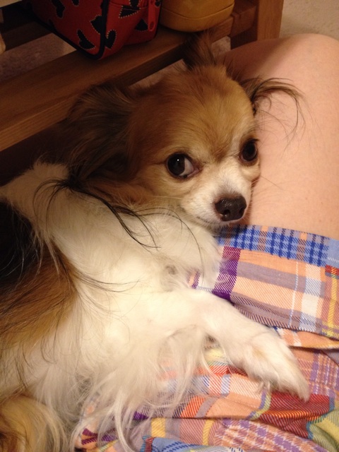 f:id:nashuaki:20140907225036j:plain f:id:nashuaki:20140907225036j:plain