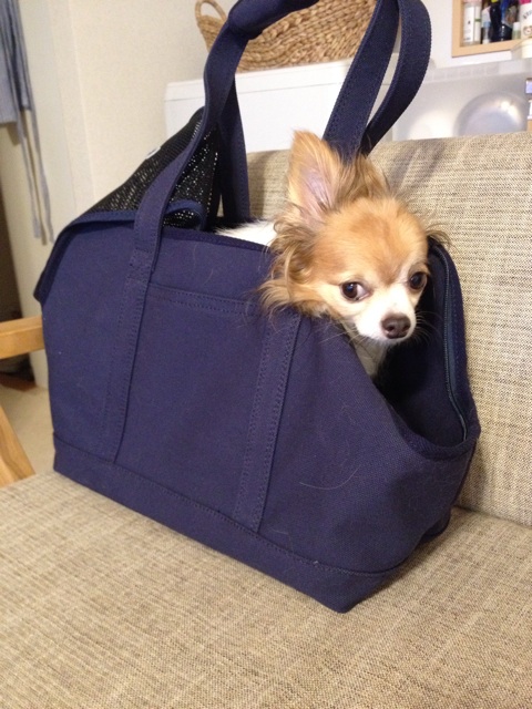f:id:nashuaki:20140907225119j:plain f:id:nashuaki:20140907225119j:plain
