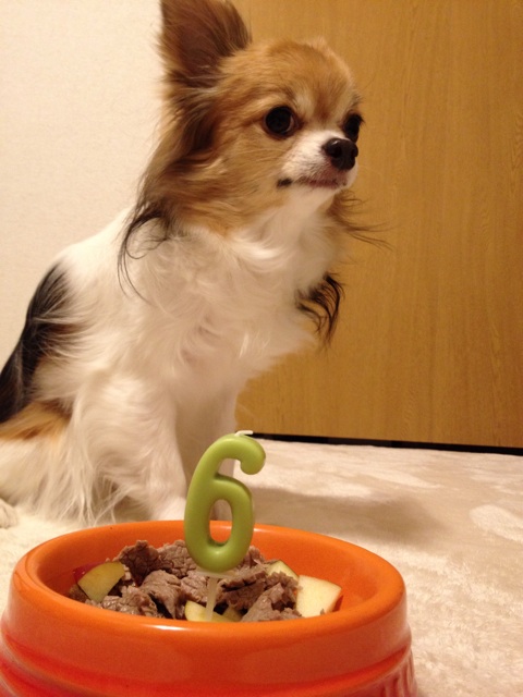 f:id:nashuaki:20141217094445j:plain f:id:nashuaki:20141217094445j:plain