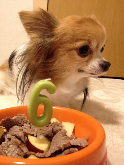 f:id:nashuaki:20141217094512j:plain f:id:nashuaki:20141217094512j:plain