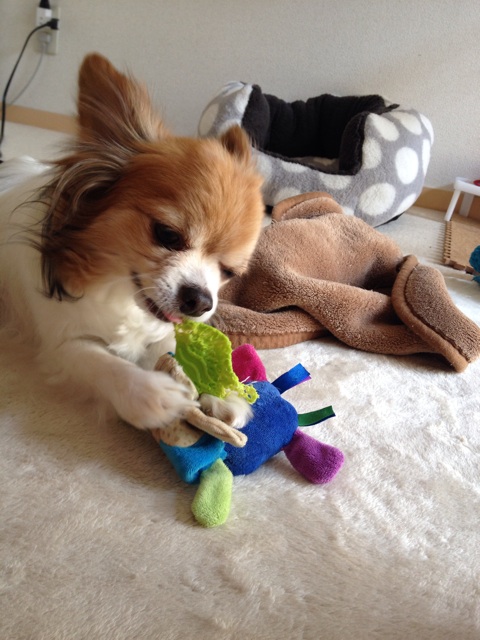 f:id:nashuaki:20150518163713j:plain f:id:nashuaki:20150518163713j:plain