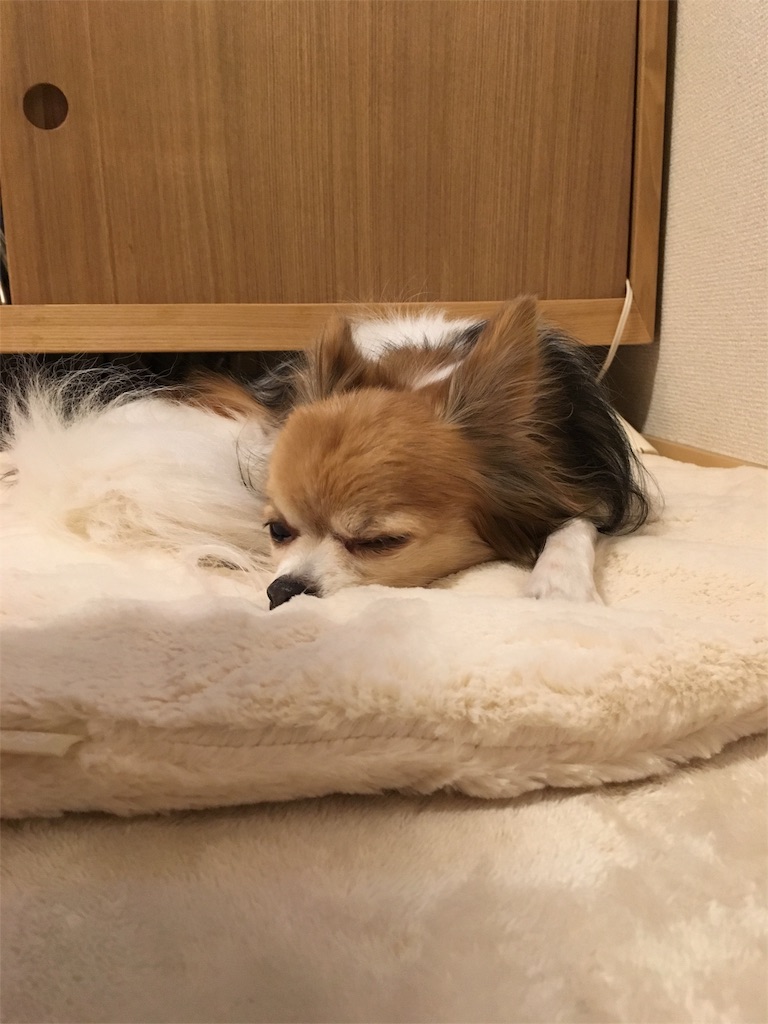 f:id:nashuaki:20151215172347j:image f:id:nashuaki:20151215172347j:image