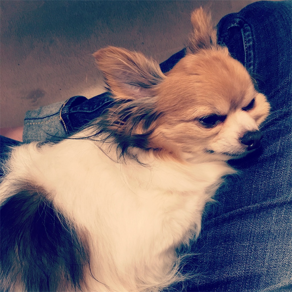 f:id:nashuaki:20151224234041j:image f:id:nashuaki:20151224234041j:image