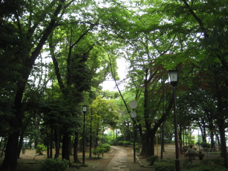 f:id:naskin:20100619010010j:image f:id:naskin:20100619010010j:image