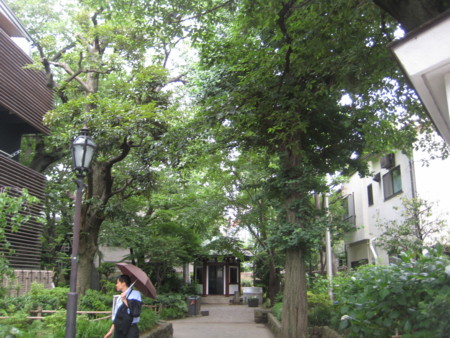 f:id:naskin:20100619010015j:image f:id:naskin:20100619010015j:image