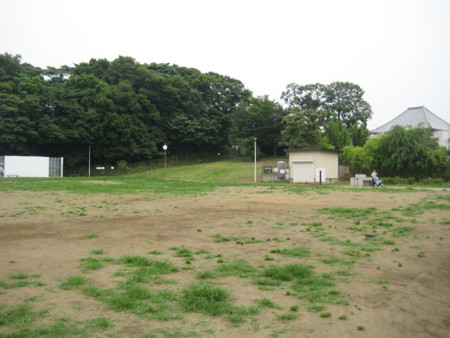 f:id:naskin:20100619010016j:image f:id:naskin:20100619010016j:image
