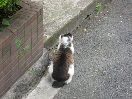 f:id:naskin:20100619010022j:image f:id:naskin:20100619010022j:image