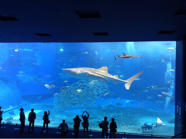 f:id:nassun:20130428044409j:plain f:id:nassun:20130428044409j:plain