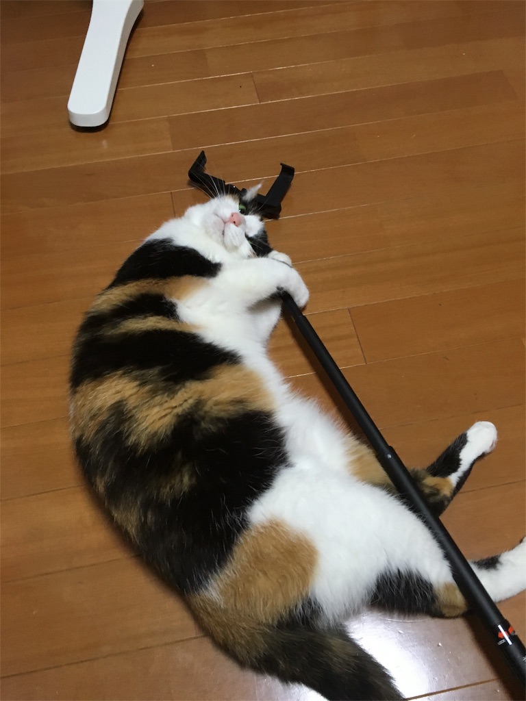f:id:natachiki:20160601132406j:image f:id:natachiki:20160601132406j:image