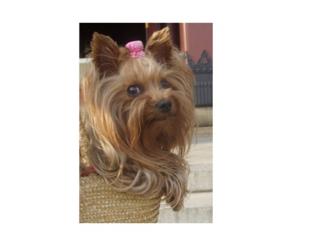 f:id:nathi8:20110725213029j:image f:id:nathi8:20110725213029j:image