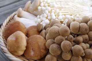 f:id:native_life:20140305191644j:plain f:id:native_life:20140305191644j:plain