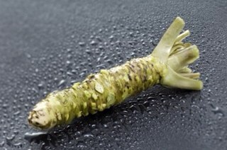 f:id:native_life:20140305192041j:plain f:id:native_life:20140305192041j:plain