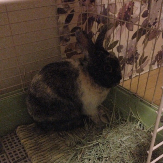 f:id:nats0316:20140317013121j:plain f:id:nats0316:20140317013121j:plain