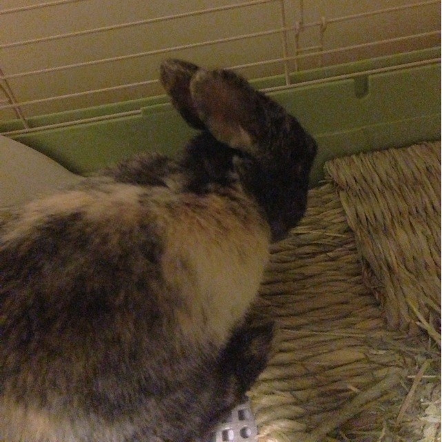 f:id:nats0316:20140317013137j:plain f:id:nats0316:20140317013137j:plain
