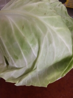 f:id:natsukifune:20150903214041j:plain f:id:natsukifune:20150903214041j:plain