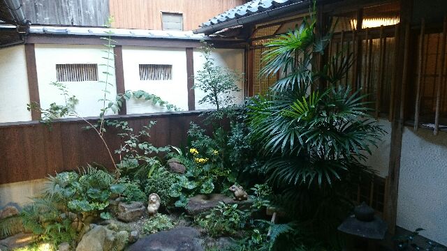 f:id:natsunosta:20141110000853j:image f:id:natsunosta:20141110000853j:image